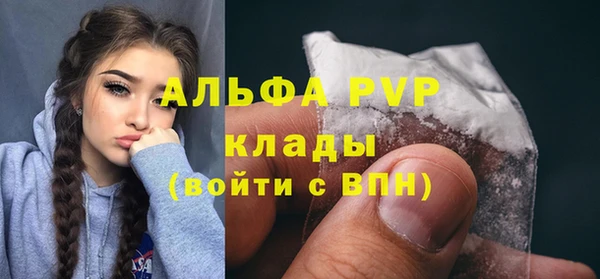 spice Аркадак