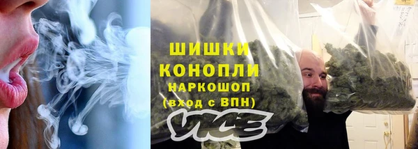 spice Аркадак