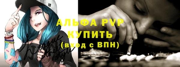spice Аркадак