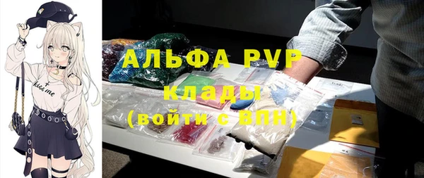 spice Аркадак